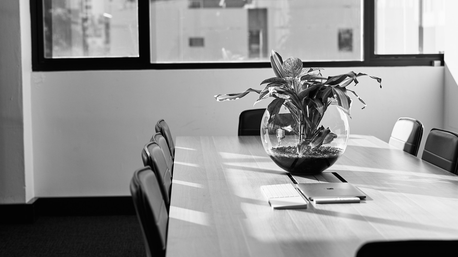 Meeting room with table and plant